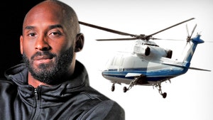 Makers of Kobe Bryant's Helicopter Urged Customers to Add Warning System