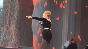 Adele Performs at London's BST Hyde Park Festival, Stops Show to Help Fans