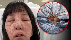 brown recluse spider bite woman
