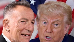 bruce springsteen donald trump main getty