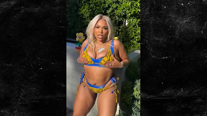 lizzo-kal-05-24-2025