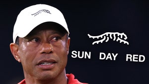 Image 22: tiger-woods-main-getty-1