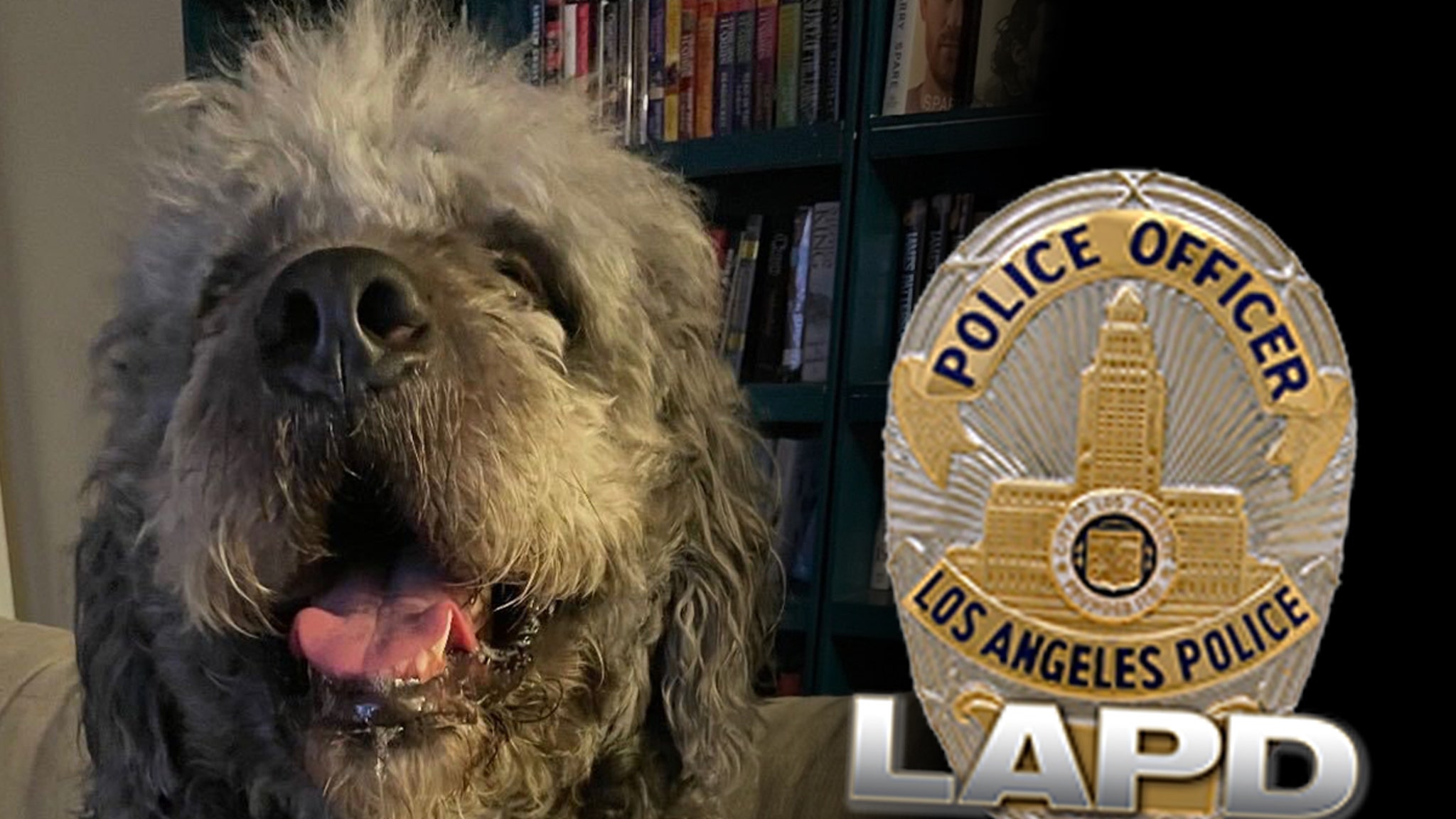 Family of Dog Killed by LAPD Slams 'Reckless' Officer After&hellip;