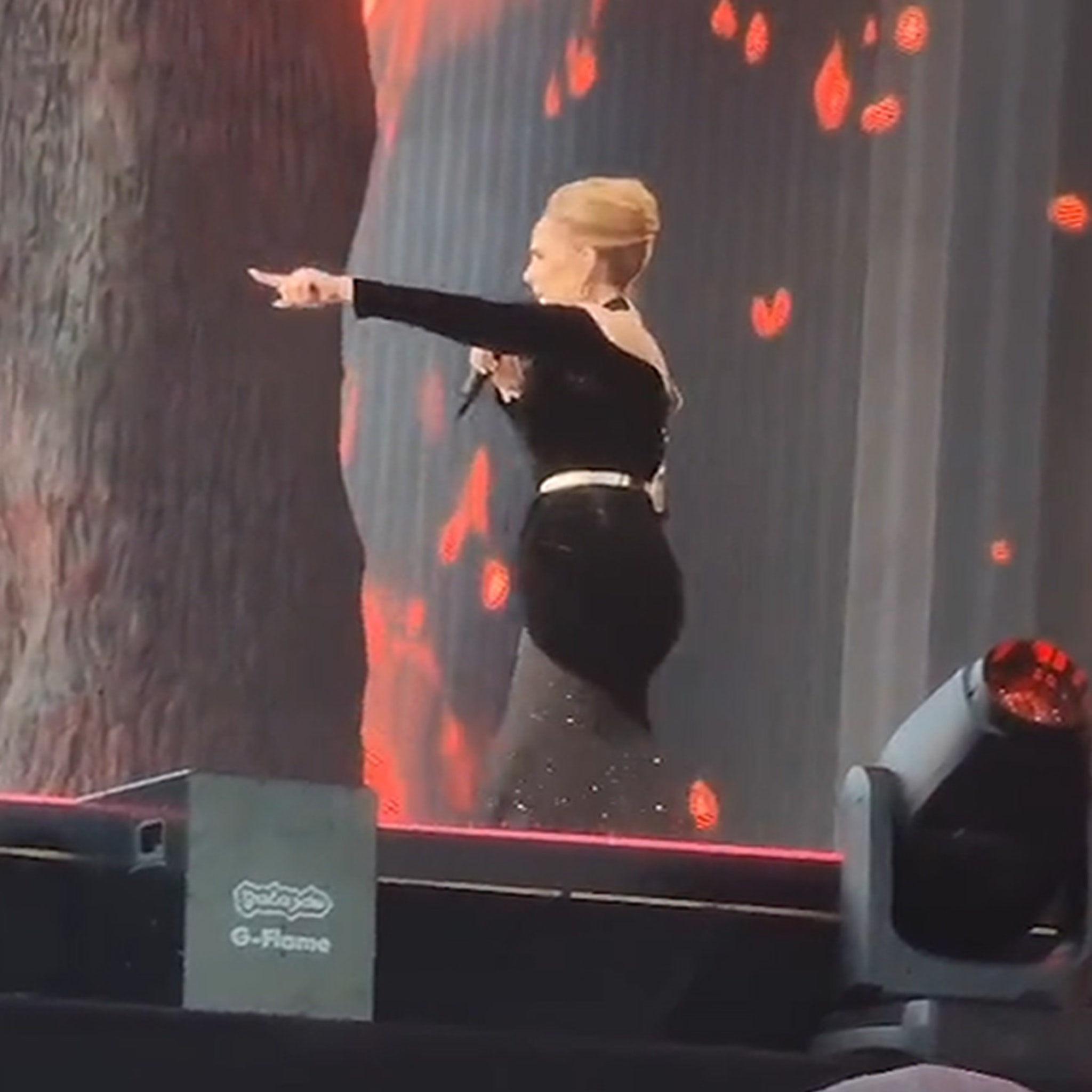 Adele Wore Schiaparelli Haute Couture & Louis Vuitton Performing At BST  Hyde Park