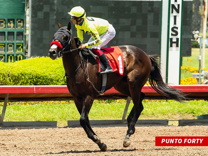 Punto Forty run fast racing llc