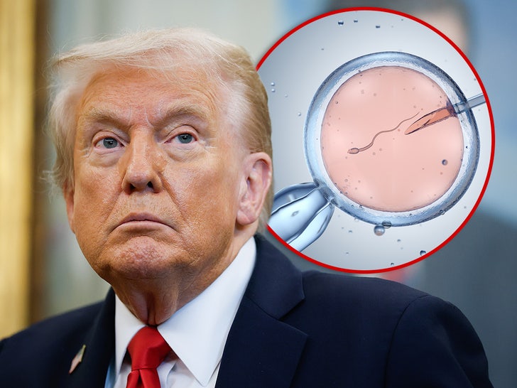 donald trump ivf main getty