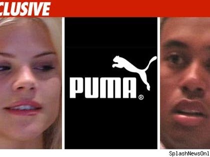 Elin Nordegren -- From Tiger to Puma?