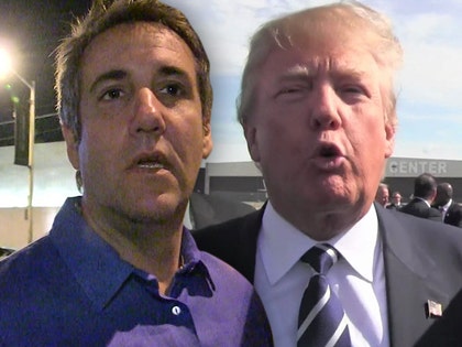 0214-donald-trump-michael-cohen-tmz-0