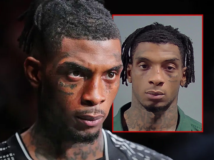 UFC’s Sedriques Dumas mug shot getty no credit main