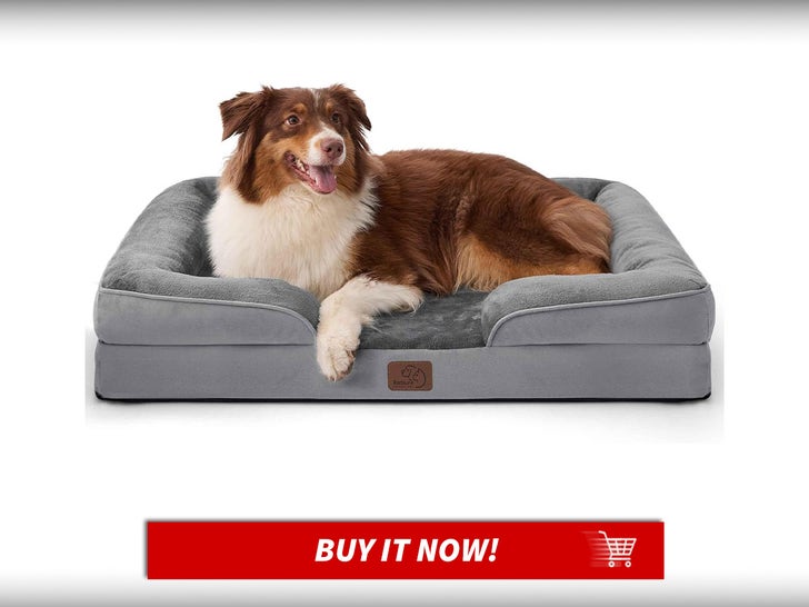 Bedsure-Orthopedic-Dog-Bed-National-Dog-Day-Deals-MAIN