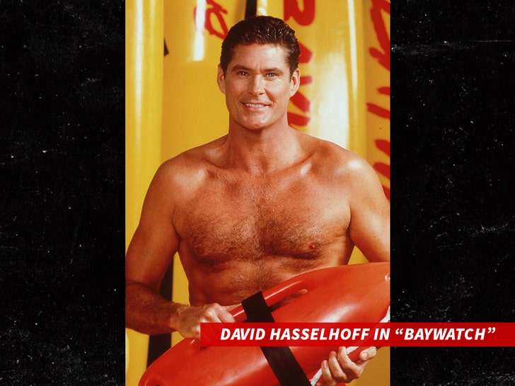 David-Hasselhoff-sub-Getty-1