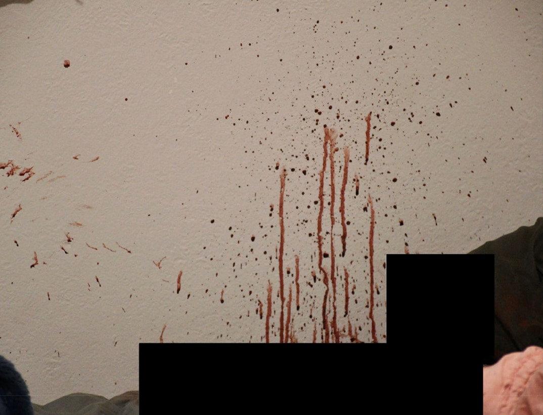 Bryan Kohberger Graphic Crime Scene Photos 1