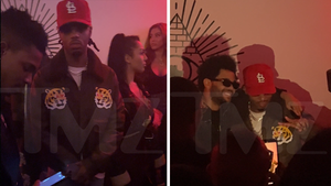 Metro Boomin Parties with The Weeknd, A$AP Rocky for 'Heroes & Villains'