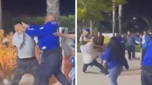 Dodgers Fan Knocked Unconscious In Wild Fistfight After Game