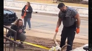 Dead Longhorn Found At Oklahoma State Frat House Before OSU-Texas Big 12 Title Game
