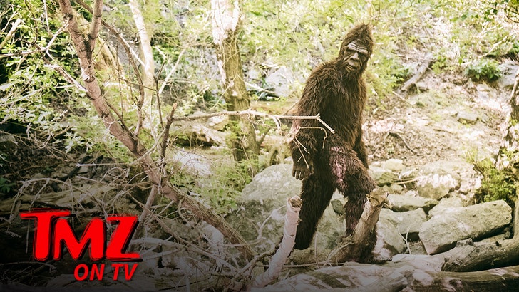 bigfoot