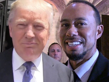 0105-trump-woods-tmz-3
