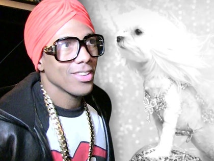 1212-nick-cannon-dog-music-video-tmz