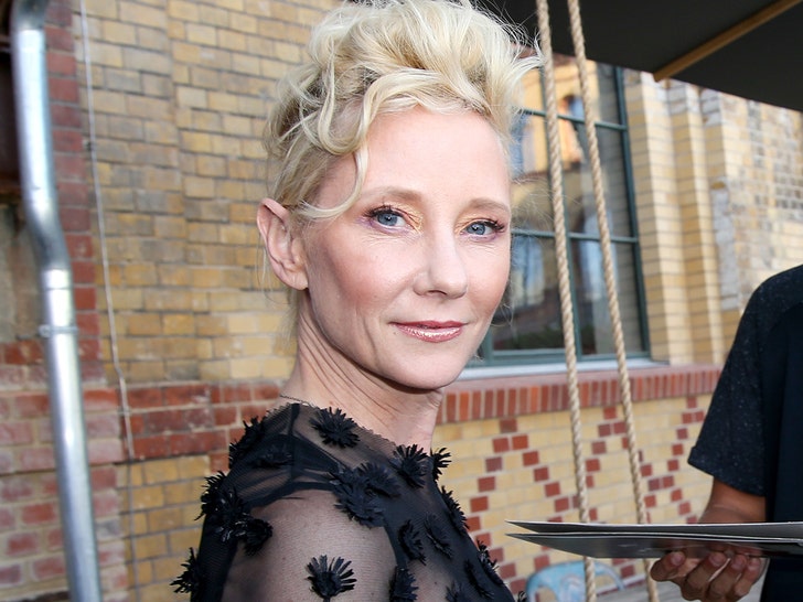 Anne Heche Still in Coma, Hasn't Regained Consciousness Since Just After Accident.jpg