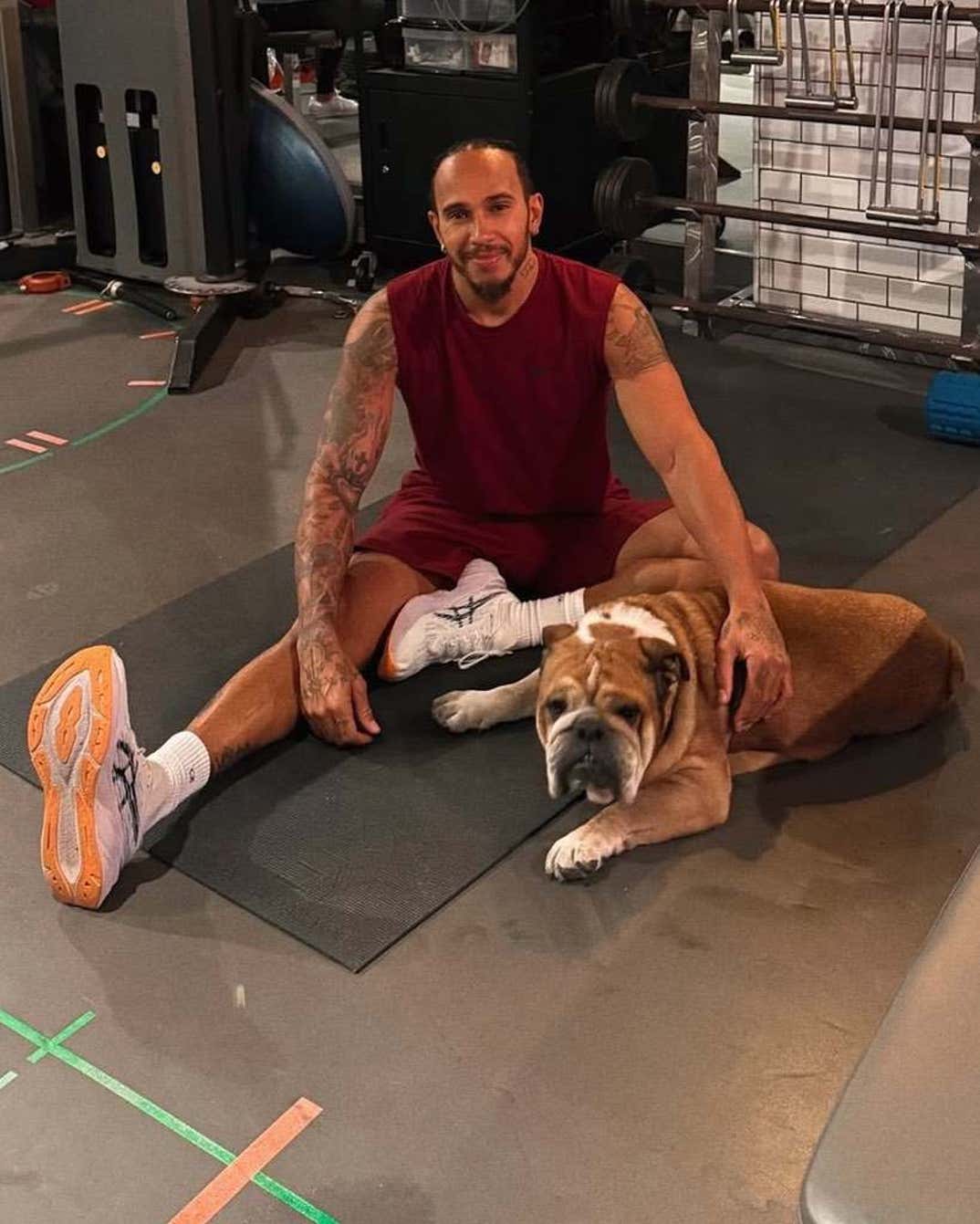 Lewis Hamilton And His Dog Roscoe 8