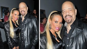 Ice-T & CoCo -- Leather the Storm Together