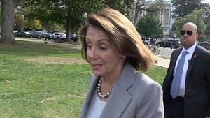Nancy Pelosi and Elizabeth Warren Blast Trump for Getting Political Over Terrorist Attack