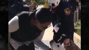 Oprah Meets Rescue Dogs Helping Search for Missing from Montecito Mudslides