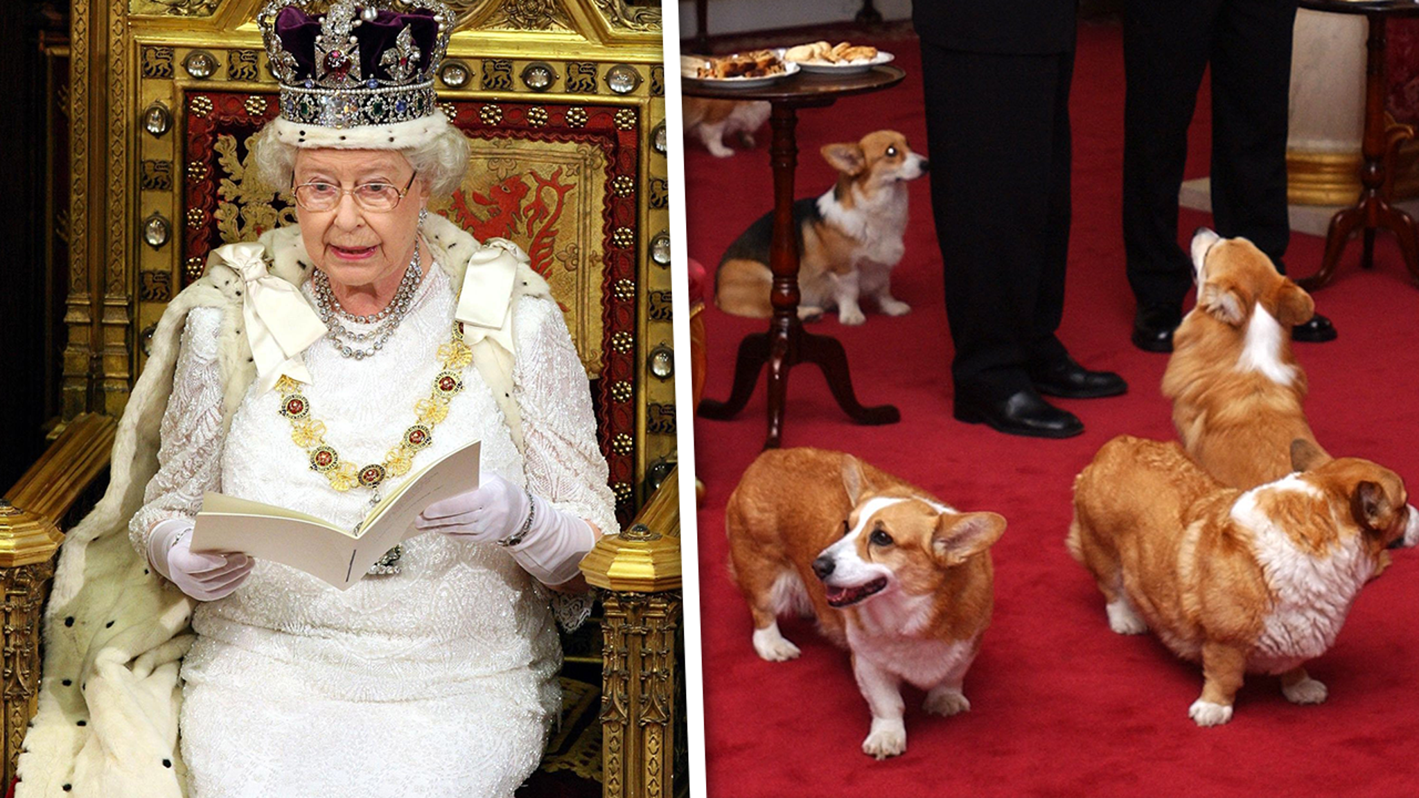 Queen Elizabeth's Dog Passes Away