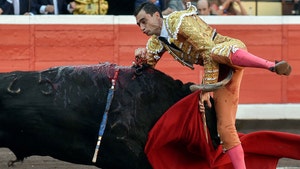 Bullfighter Gored In the Crotch In Spain, Graphic Photos