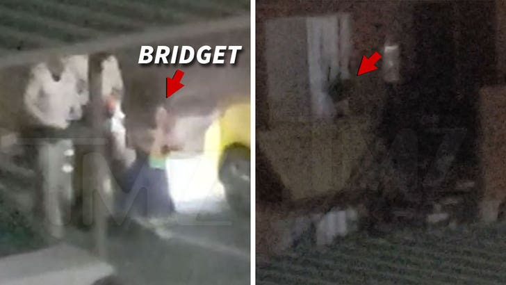 Porn Window - Porn Star 'Bridget the Midget' Breaks Window, Berates BF on ...