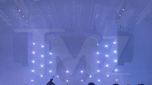 Swedish House Mafia Stops Norwegian Show