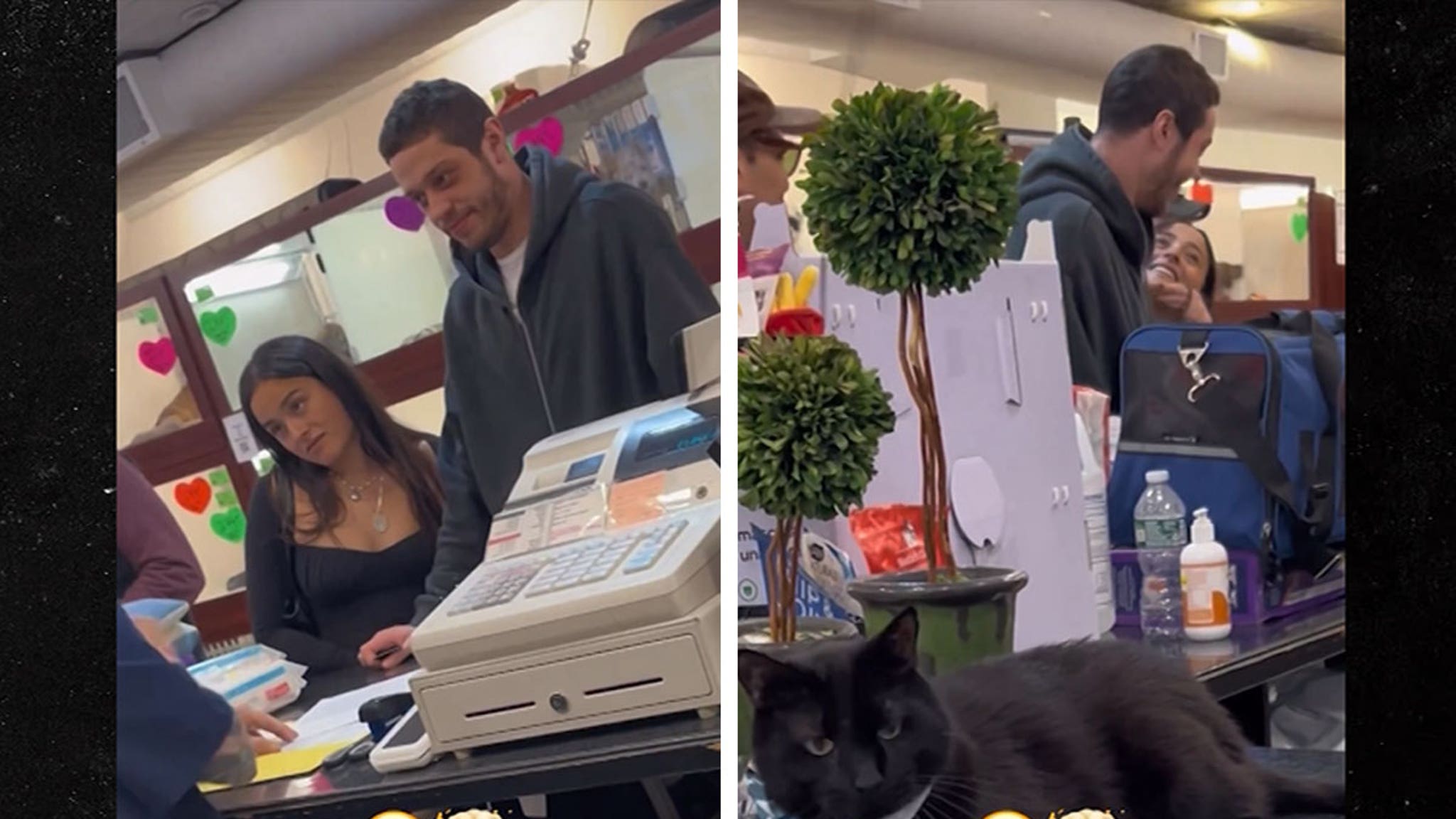 Pete Davidson Spotted Getting New Dog With Chase Sui Wonders