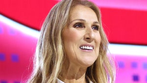 celine dion main