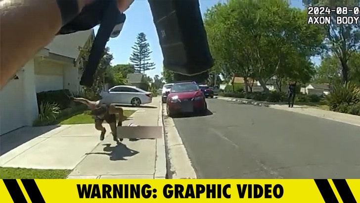 Man Stabbing Mother Shot by Cops in Wild Body Cam Footage