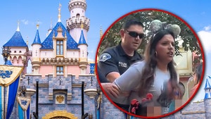 disney land arrest getty
