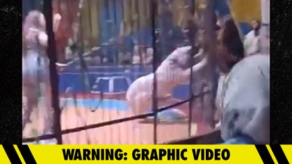 040225_tiger_attack-kal