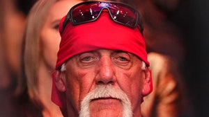 hulk hogan main neutral