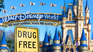 walt disney world drugs meth main getty