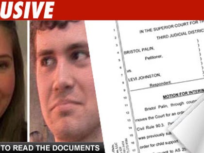 Bristol Palin and Levi Johnston Child Support Documents: Click to view!