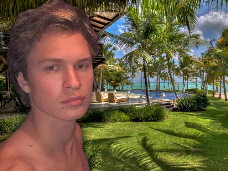 Ansel Elgort's Awesome DR Villa