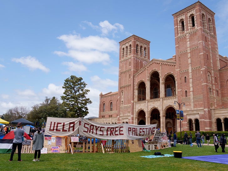 UCLA Pro-Palestine Protests