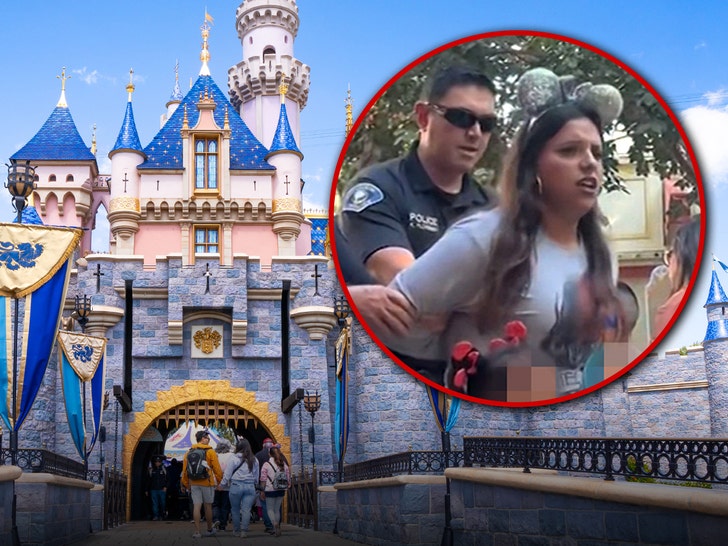 disney land arrest getty