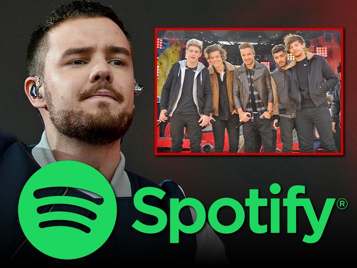 Liam Payne’s Solo & One Direction Spotify Streams Skyrocket Since Death