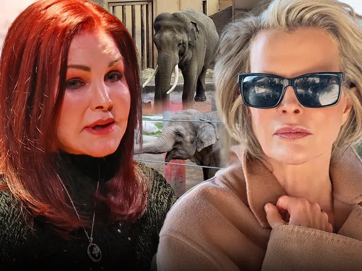 Priscilla-Presley-Kim-Basinger--Mitch-Stone-1