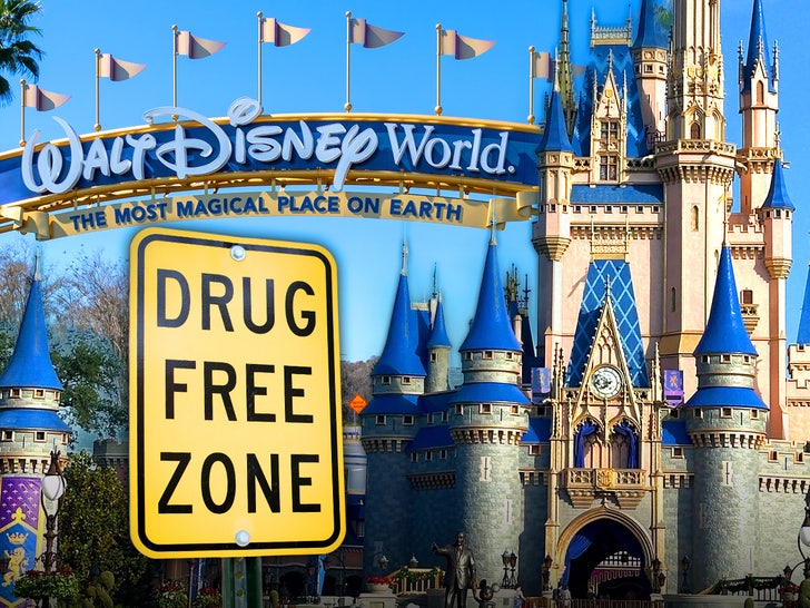 walt disney world drugs meth main getty