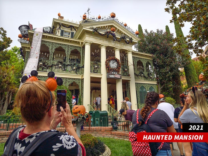 disneyland haunted mansion sub getty swipe