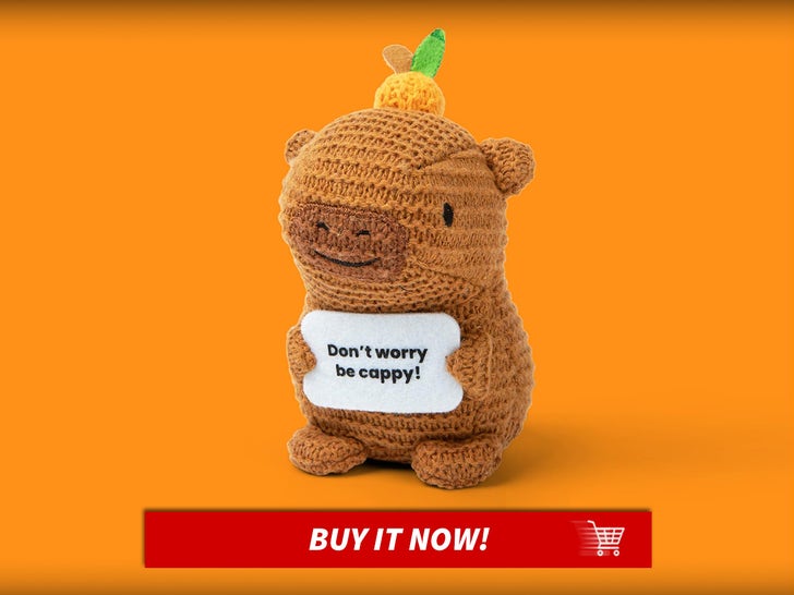 Lil-Cheers-Capybara-Gift-Guide-Fun-Last-Minute-Gifts-MAIN