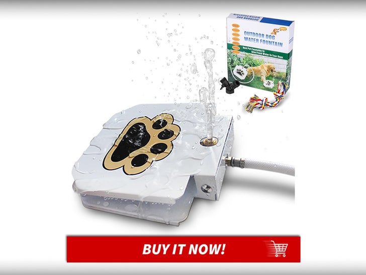 Dog-Fountain-Pet-Summer-Essentials-MAIN