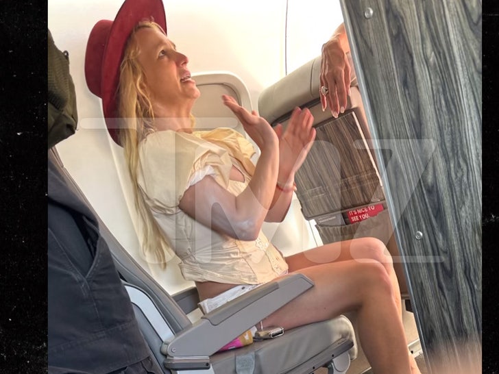 Captioned in the joyous spontaneity of air travel, a relaxed Britney Spears is all smiles.