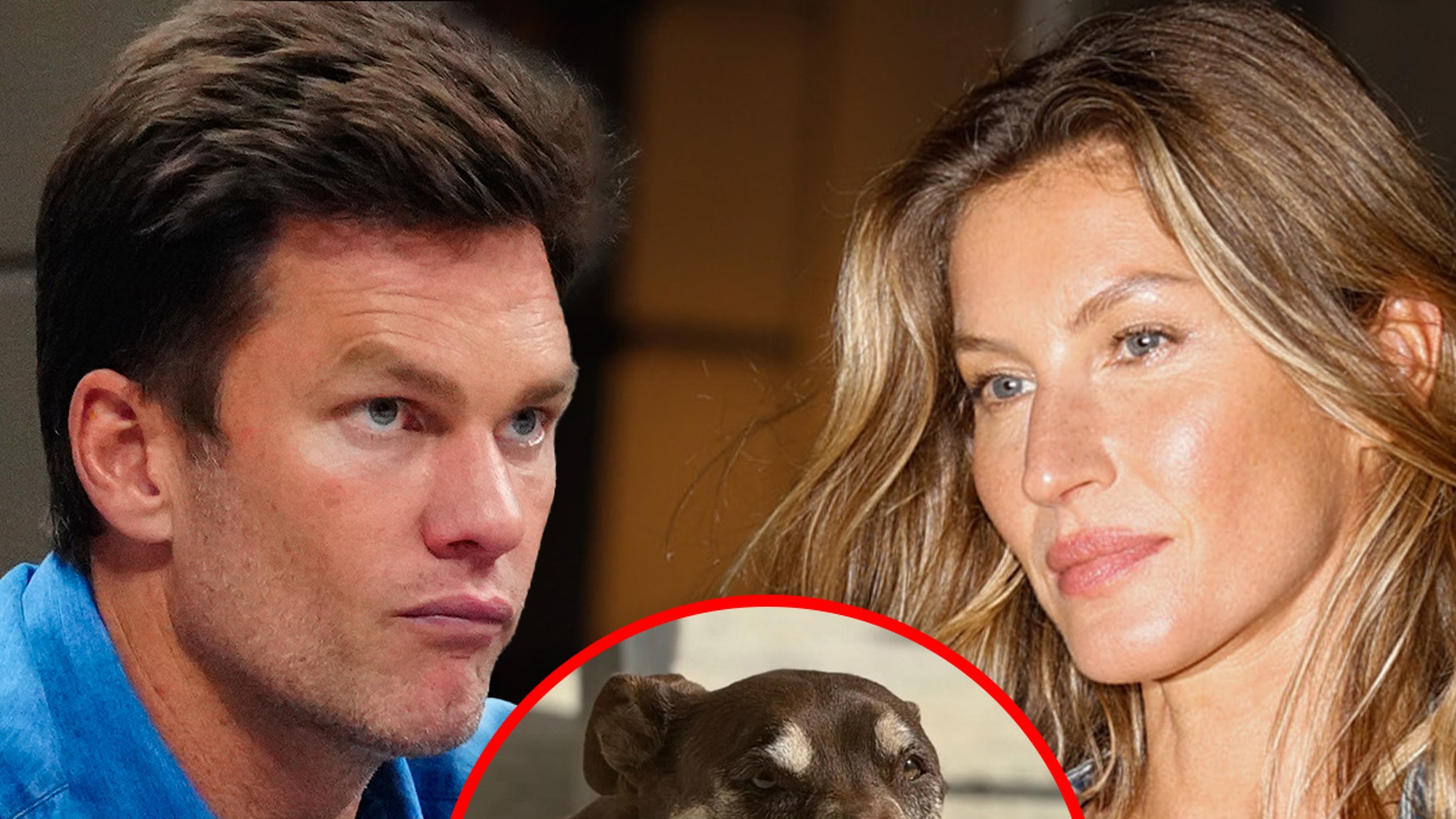 Tom Brady Gisele Bündchen Mourn Death of Family Dog Lua